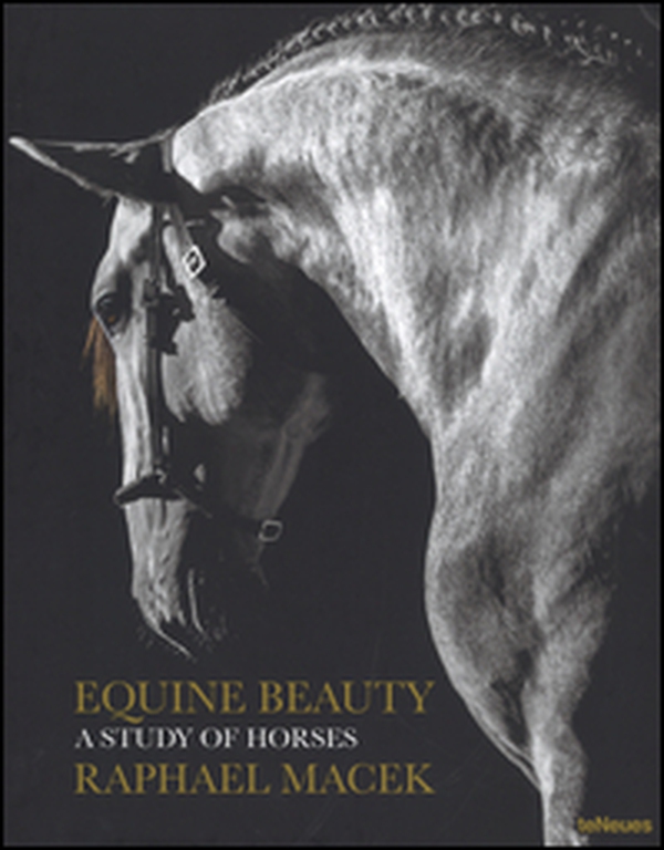 Equine beauty. A study of horses - Librerie.coop Equine beauty. A study of horses - Librerie.coop