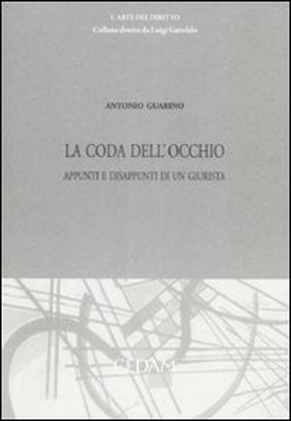 La coda dell'occhio. Appunti e disappunti di un giurista - Librerie.coop La coda dell'occhio. Appunti e disappunti di un giurista - Librerie.coop