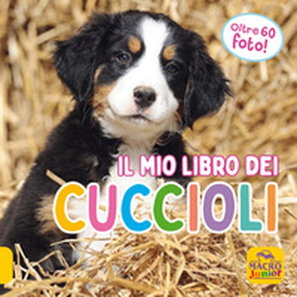 Il mio libro dei cuccioli - Librerie.coop Il mio libro dei cuccioli - Librerie.coop