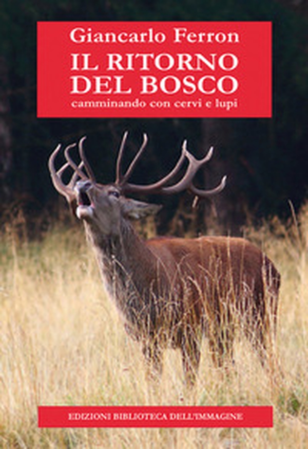Il ritorno del bosco. Camminando con cervi e lupi - Librerie.coop Il ritorno del bosco. Camminando con cervi e lupi - Librerie.coop