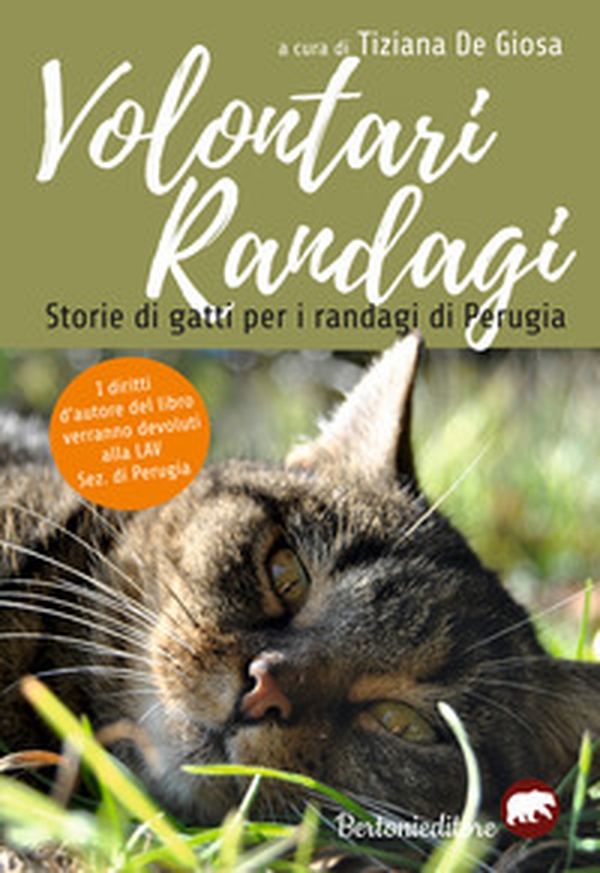 Volontari randagi. Storie di gatti per i randagi di Perugia - Librerie.coop Volontari randagi. Storie di gatti per i randagi di Perugia - Librerie.coop
