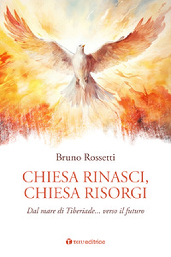 Chiesa rinasci, Chiesa risorgi. Dal mare di Tiberiade... verso il futuro - Librerie.coop Chiesa rinasci, Chiesa risorgi. Dal mare di Tiberiade... verso il futuro - Librerie.coop