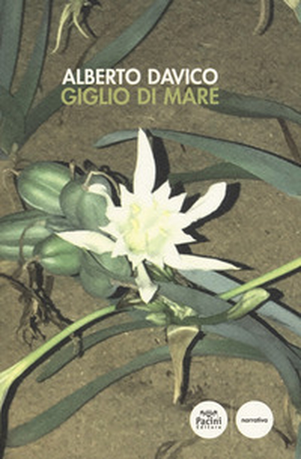 Giglio di mare - Librerie.coop Giglio di mare - Librerie.coop