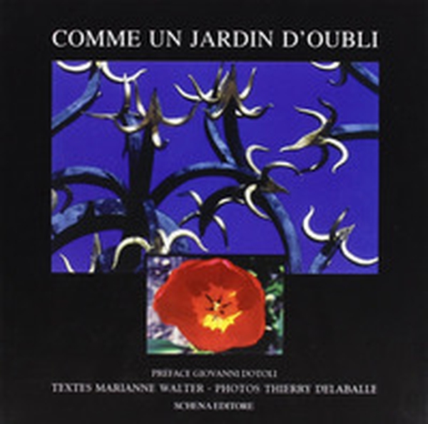 Comme un jardin d'oubli - Librerie.coop Comme un jardin d'oubli - Librerie.coop