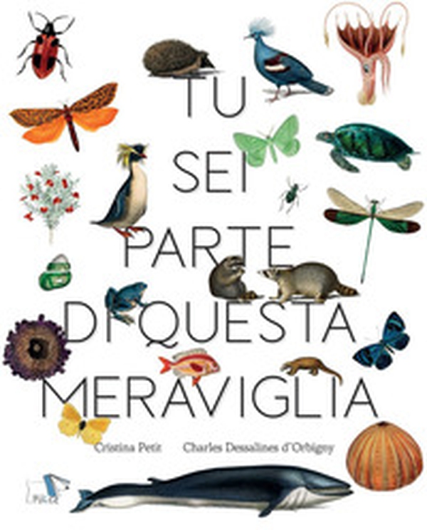 Tu sei parte di questa meraviglia - Librerie.coop Tu sei parte di questa meraviglia - Librerie.coop