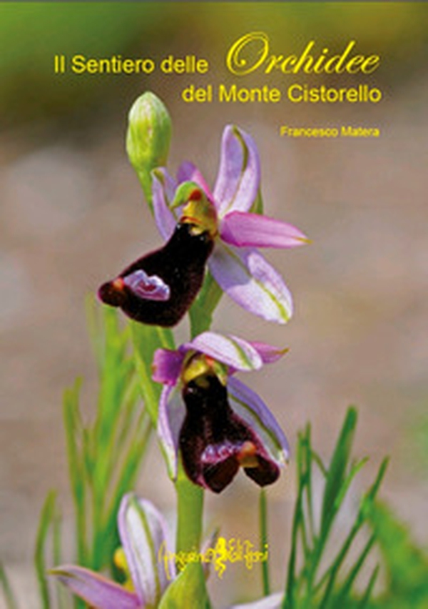 Il sentiero delle orchidee del monte Cistorello - Librerie.coop Il sentiero delle orchidee del monte Cistorello - Librerie.coop