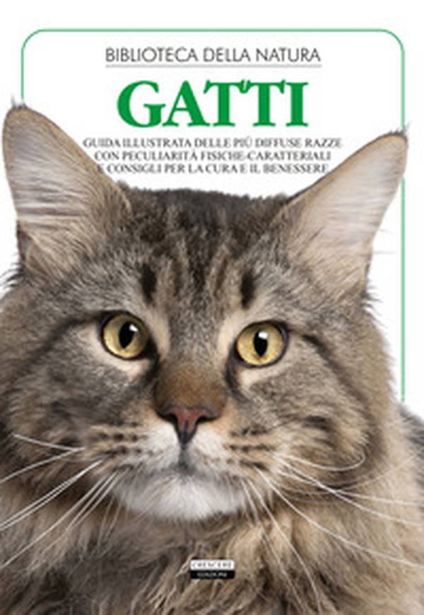 Gatti - Librerie.coop Gatti - Librerie.coop