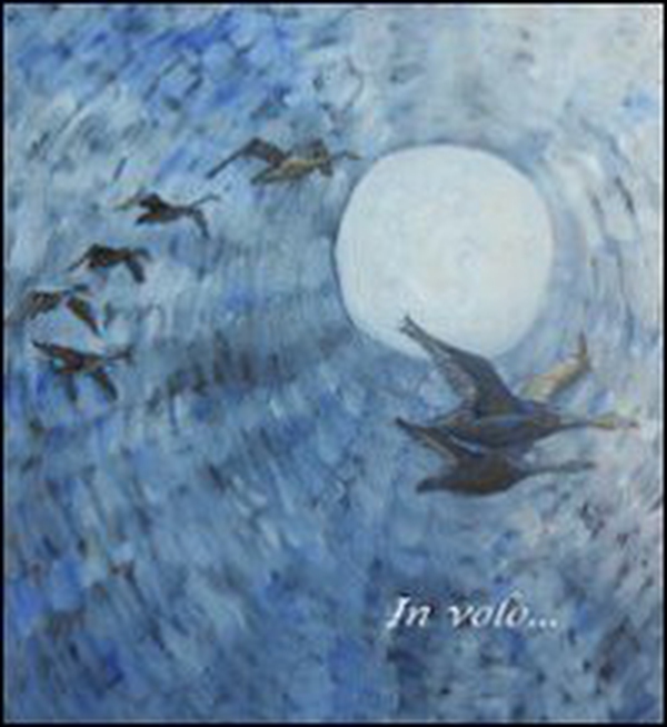 In volo - Librerie.coop In volo - Librerie.coop