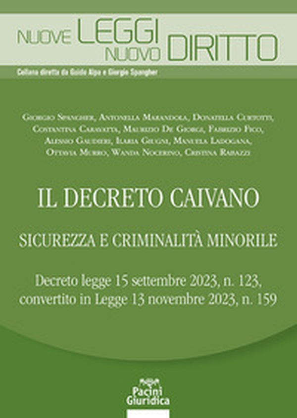 Il decreto Caivano. Sicurezza e criminalità minorile - Librerie.coop Il decreto Caivano. Sicurezza e criminalità minorile - Librerie.coop