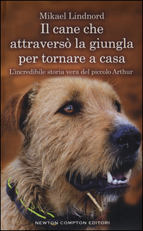 Il cane che attraversò la giungla per tornare a casa. L'incredibile storia vera del piccolo Arthur - Librerie.coop Il cane che attraversò la giungla per tornare a casa. L'incredibile storia vera del piccolo Arthur - Librerie.coop