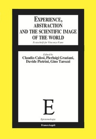 Experience, abstraction and the scientific image of the world. Festschrift for Vincenzo Fano - Librerie.coop