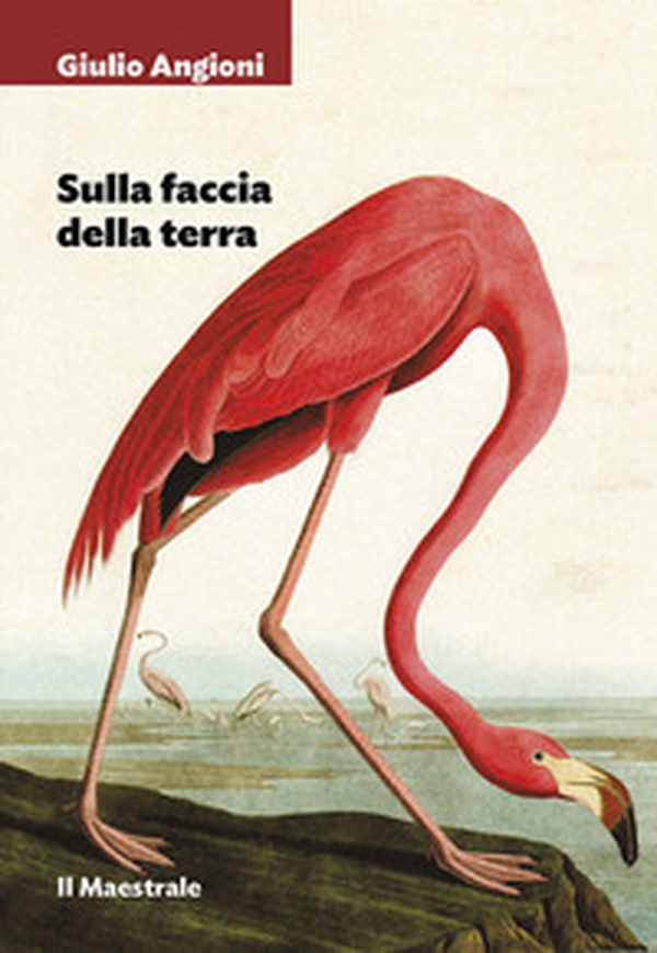 Sulla faccia della terra - Librerie.coop Sulla faccia della terra - Librerie.coop