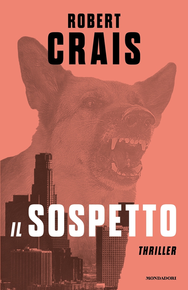 Il sospetto - Librerie.coop Il sospetto - Librerie.coop