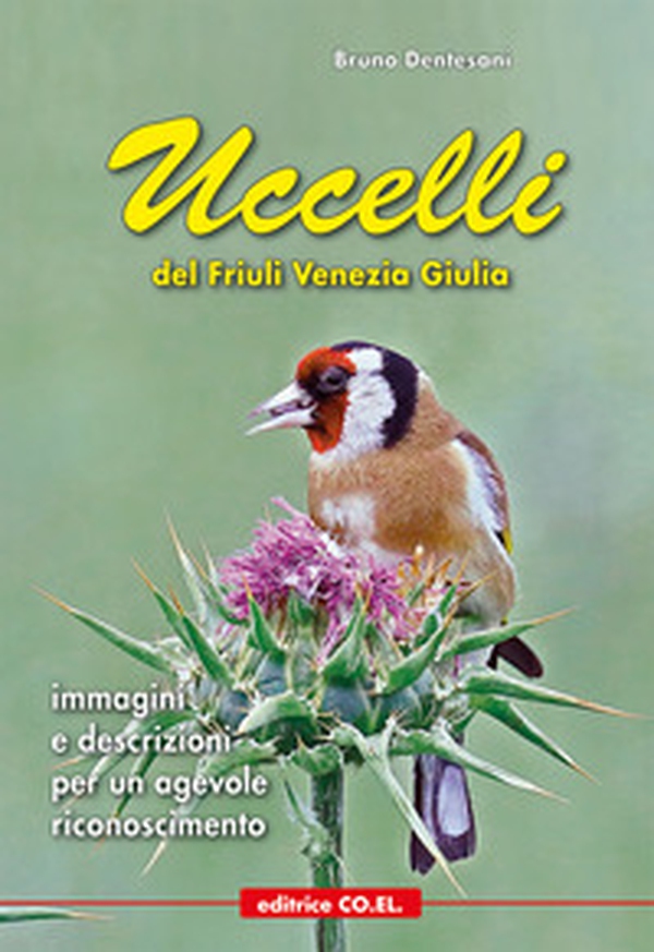 Uccelli del Friuli Venezia Giulia. Immagini e descrizioni per un agevole riconoscimento - Librerie.coop Uccelli del Friuli Venezia Giulia. Immagini e descrizioni per un agevole riconoscimento - Librerie.coop
