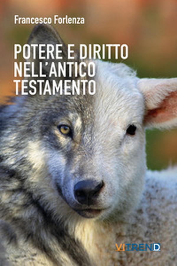 Potere e diritto nell'Antico Testamento. Un itinerario tra la storia e gli istituti del popolo ebraico - Librerie.coop Potere e diritto nell'Antico Testamento. Un itinerario tra la storia e gli istituti del popolo ebraico - Librerie.coop