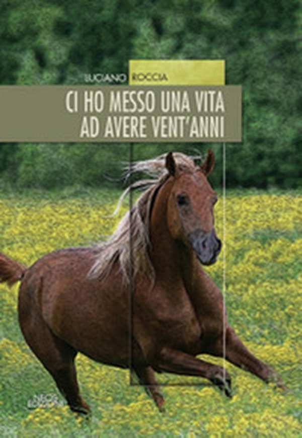 Ci ho messo una vita ad avere vent'anni - Librerie.coop Ci ho messo una vita ad avere vent'anni - Librerie.coop
