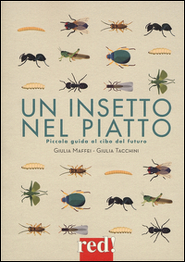 Un insetto nel piatto - Librerie.coop Un insetto nel piatto - Librerie.coop