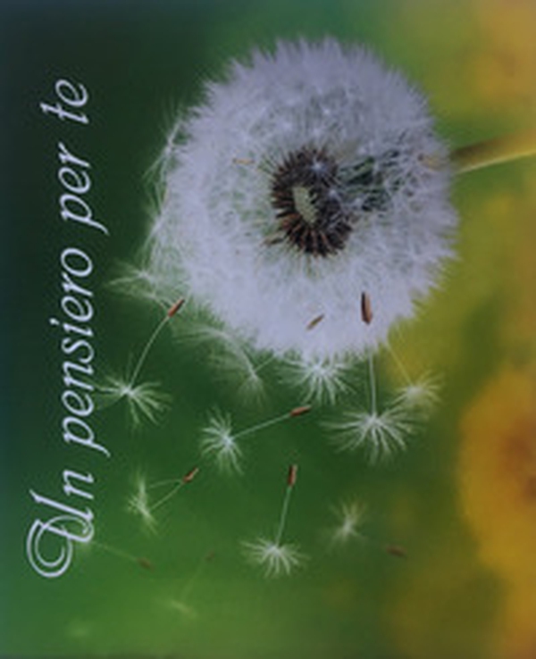 Un pensiero per te. Dedicato a te - Librerie.coop Un pensiero per te. Dedicato a te - Librerie.coop
