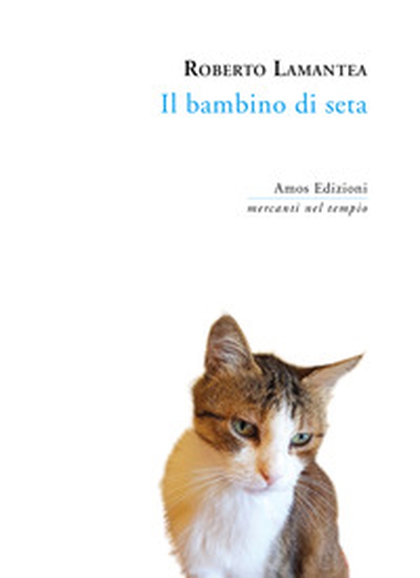 Il bambino di seta - Librerie.coop Il bambino di seta - Librerie.coop