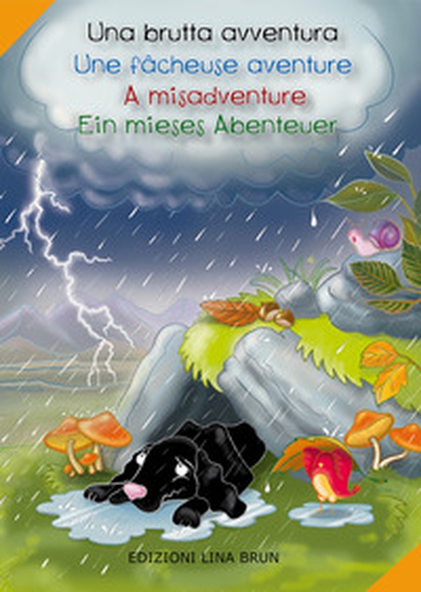 Una brutta avventura-Une fâcheuse aventure-A misadventure-Ein mieses abenteuer - Librerie.coop Una brutta avventura-Une fâcheuse aventure-A misadventure-Ein mieses abenteuer - Librerie.coop