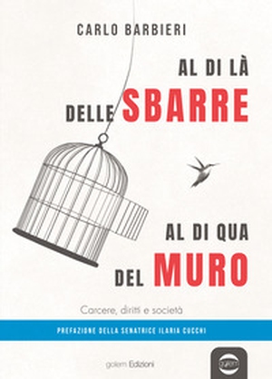 Al di la delle sbarre, al di qua del muro. Carcere, diritti e società - Librerie.coop