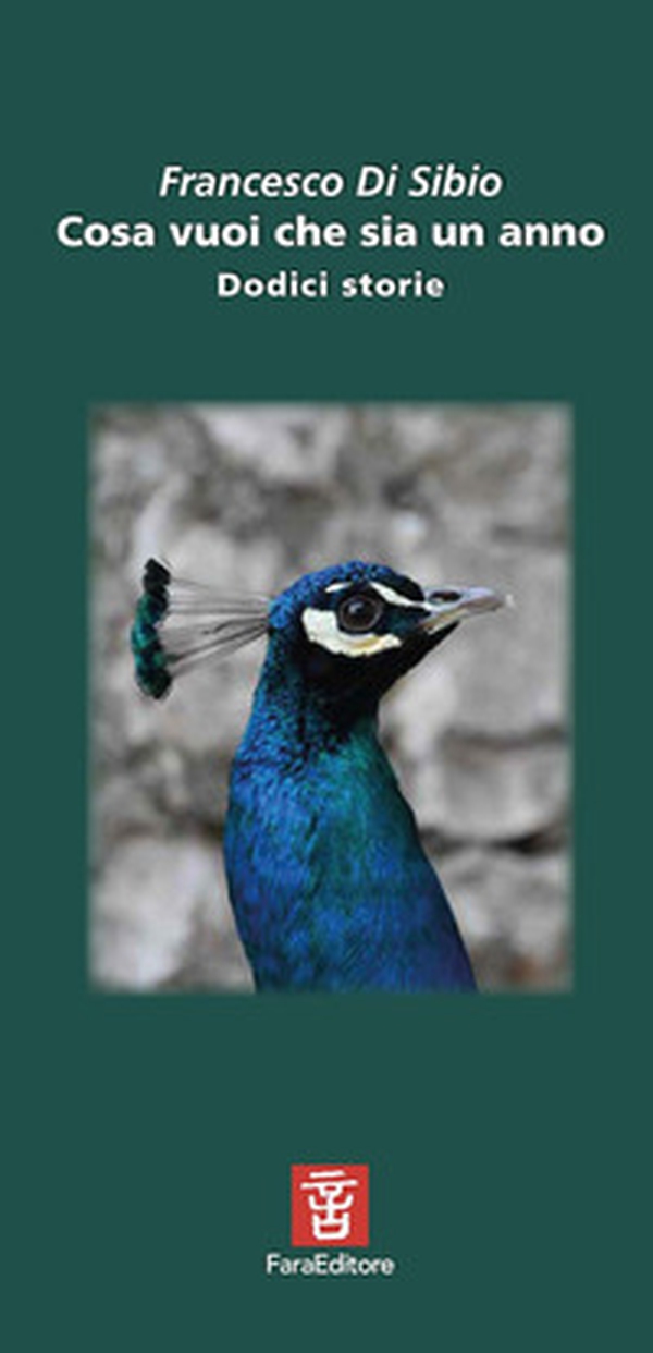 Cosa vuoi che sia un anno. Dodici storie - Librerie.coop Cosa vuoi che sia un anno. Dodici storie - Librerie.coop