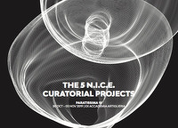 The 5 N.I.C.E. Curatorial Projects - Librerie.coop The 5 N.I.C.E. Curatorial Projects - Librerie.coop
