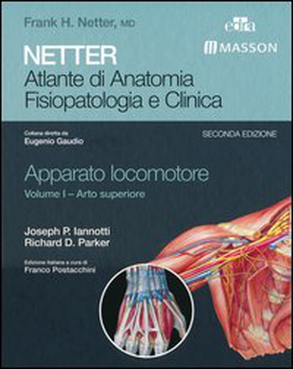 Netter. Atlante di anatomia. Fisiopatologia e clinica. Apparato locomotore - Librerie.coop Netter. Atlante di anatomia. Fisiopatologia e clinica. Apparato locomotore - Librerie.coop