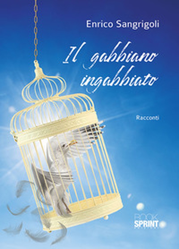 Il gabbiano ingabbiato - Librerie.coop Il gabbiano ingabbiato - Librerie.coop