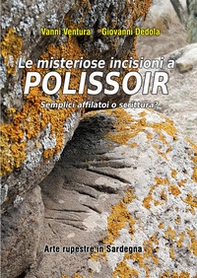 Le misteriose incisioni a Polissoir: semplici affilatoi o scrittura? Arte rupestre in Sardegna - Librerie.coop