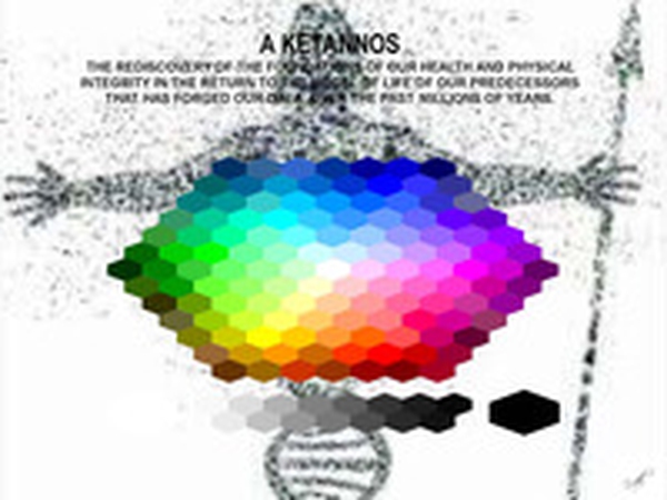 A kentannos. The rediscovery of the foundations of our health and physical integrity in the return to the model of life of our predecessors that has forged our D.N.A. over the past millions of years - Librerie.coop A kentannos. The rediscovery of the foundations of our health and physical integrity in the return to the model of life of our predecessors that has forged our D.N.A. over the past millions of years - Librerie.coop