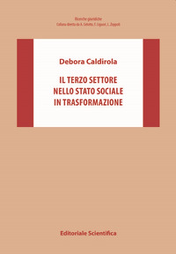 Il Terzo settore nello Stato sociale in trasformazione - Librerie.coop Il Terzo settore nello Stato sociale in trasformazione - Librerie.coop