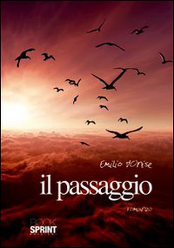 Il passaggio - Librerie.coop Il passaggio - Librerie.coop