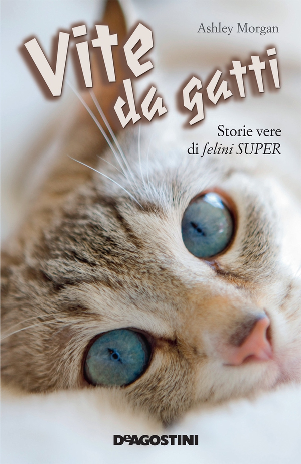 Vite da gatti - Librerie.coop Vite da gatti - Librerie.coop