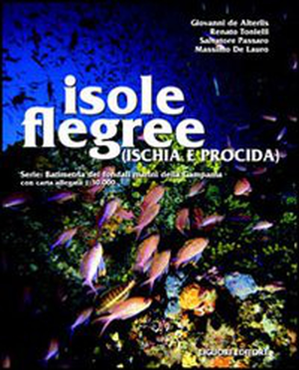 Isole flegree (Ischia e Procida). Batimetria dei fondali marini della Campania con carta allegata 1:30.000 - Librerie.coop Isole flegree (Ischia e Procida). Batimetria dei fondali marini della Campania con carta allegata 1:30.000 - Librerie.coop