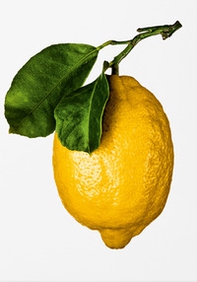 The gourmand's lemon. A collection of stories & recipes - Librerie.coop