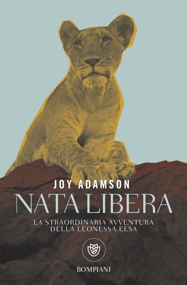 Nata libera. La straordinaria avventura della leonessa Elsa. La storia completa - Librerie.coop Nata libera. La straordinaria avventura della leonessa Elsa. La storia completa - Librerie.coop