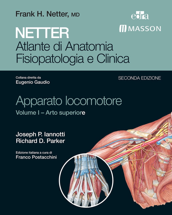 NETTER Atlante di Anatomia Fisiopatologie e Clinica: Apparato Locomotore. Volume I – Arto Superiore - Guida alla valutazione e a - Librerie.coop NETTER Atlante di Anatomia Fisiopatologie e Clinica: Apparato Locomotore. Volume I – Arto Superiore - Guida alla valutazione e a - Librerie.coop