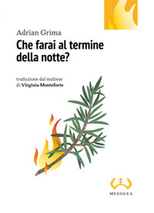 Che farai al termine della notte? - Librerie.coop Che farai al termine della notte? - Librerie.coop