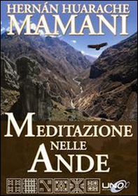 Meditazione nelle Ande - Librerie.coop