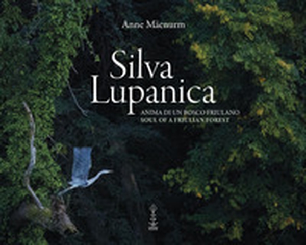 Silva Lupanica. Anima di un bosco friulano-Soul of a friulian forest - Librerie.coop Silva Lupanica. Anima di un bosco friulano-Soul of a friulian forest - Librerie.coop