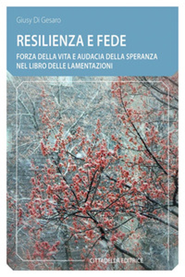 Resilienza e fede. Forza della vita e audacia della speranza nel Libro delle Lamentazioni - Librerie.coop Resilienza e fede. Forza della vita e audacia della speranza nel Libro delle Lamentazioni - Librerie.coop