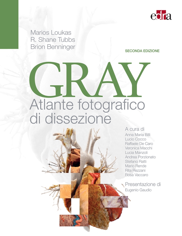 GRAY Atlante fotografico di dissezione - Librerie.coop GRAY Atlante fotografico di dissezione - Librerie.coop