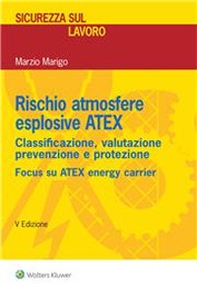Rischio atmosfere esplosive ATEX. Classificazione, valutazione prevenzione e protezione - Librerie.coop