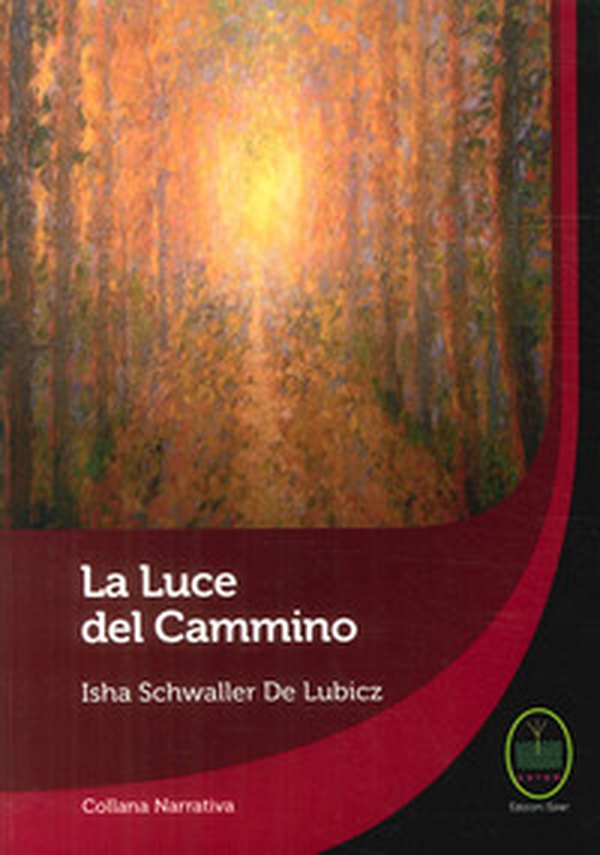 La luce del cammino - Librerie.coop La luce del cammino - Librerie.coop