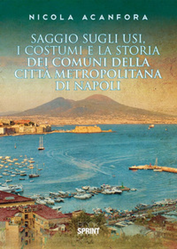 Saggio sugli usi, i costumi e la storia dei comuni della città metropolitana di Napoli - Librerie.coop Saggio sugli usi, i costumi e la storia dei comuni della città metropolitana di Napoli - Librerie.coop