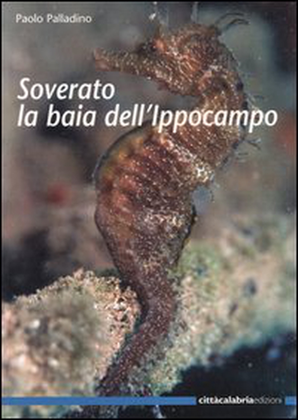 Soverato la baia dell'ippocampo - Librerie.coop Soverato la baia dell'ippocampo - Librerie.coop