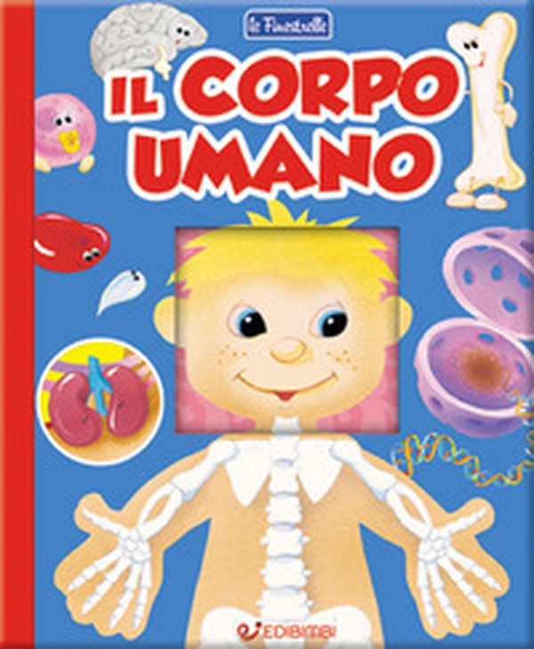 Il corpo umano. Finestrelle - Librerie.coop Il corpo umano. Finestrelle - Librerie.coop