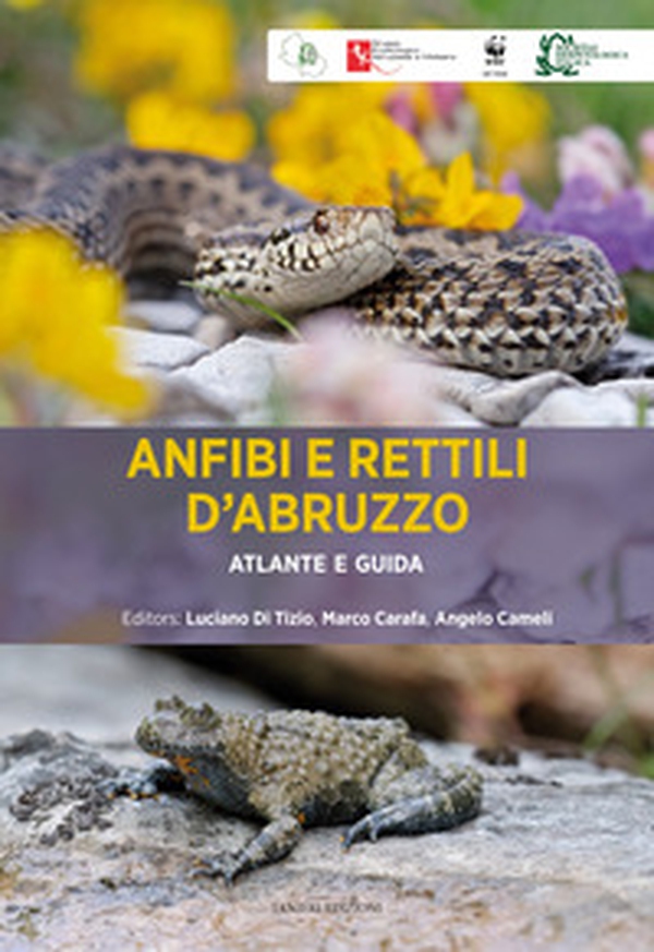 Anfibi e rettili d'Abruzzo. Atlante e guida - Librerie.coop Anfibi e rettili d'Abruzzo. Atlante e guida - Librerie.coop