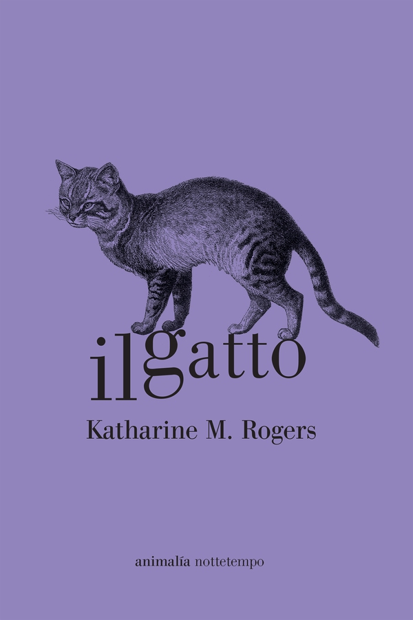 Il gatto - Librerie.coop Il gatto - Librerie.coop